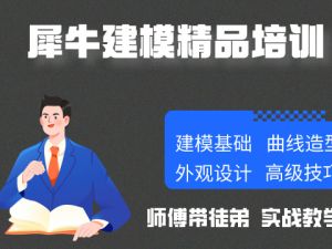 犀牛造型精品班